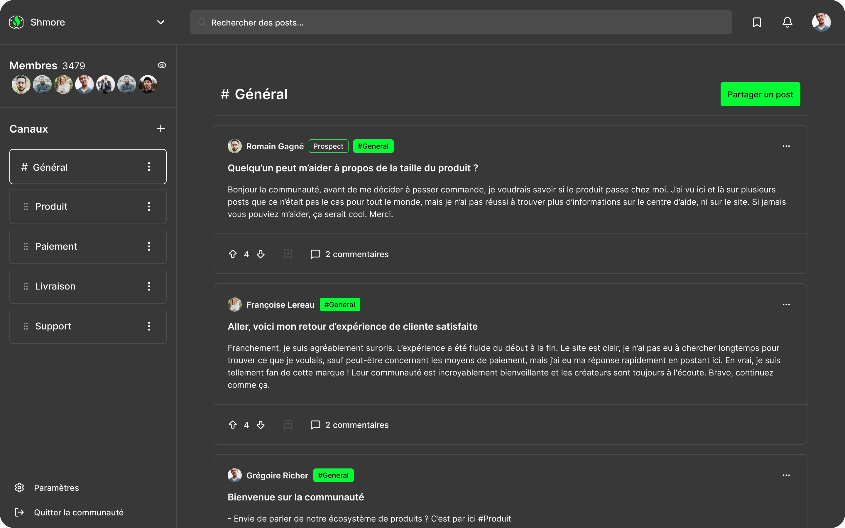 Interface Shmore - thème gris et vert